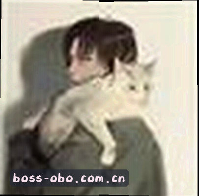 赵总